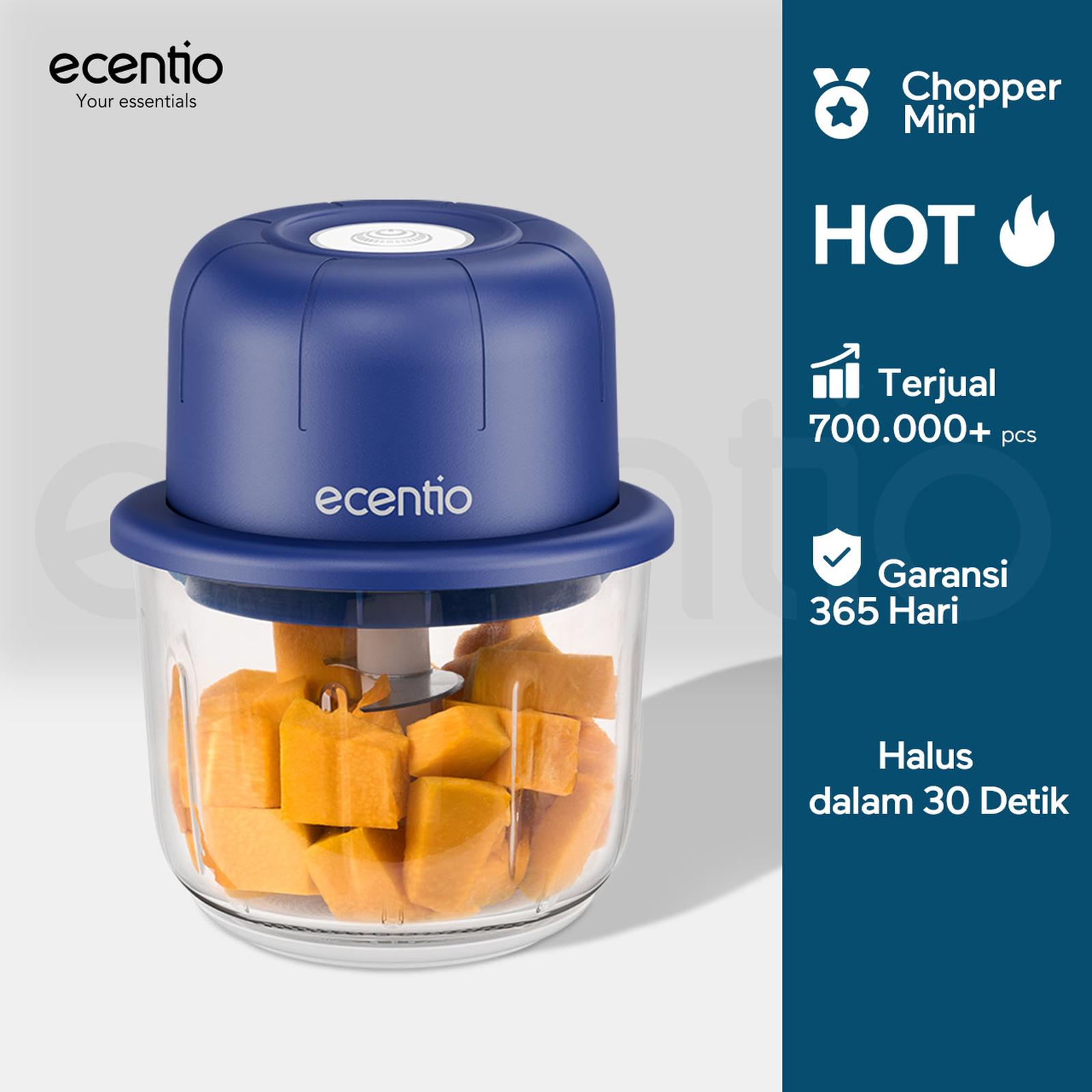 Review ecentio Mini Chopper Kaca: Worth It?